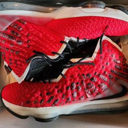 Lebron Size 14