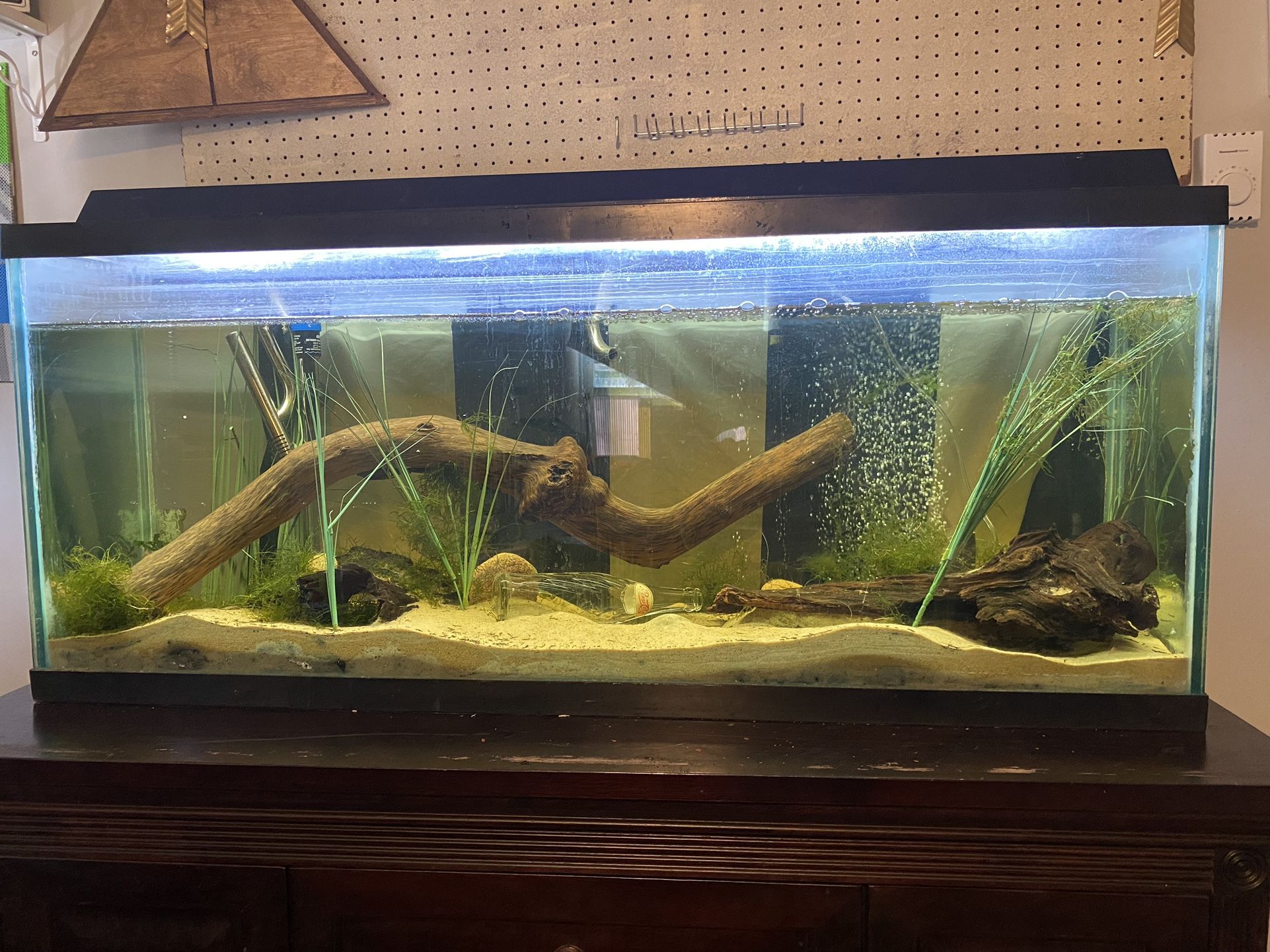 full fish tank setup