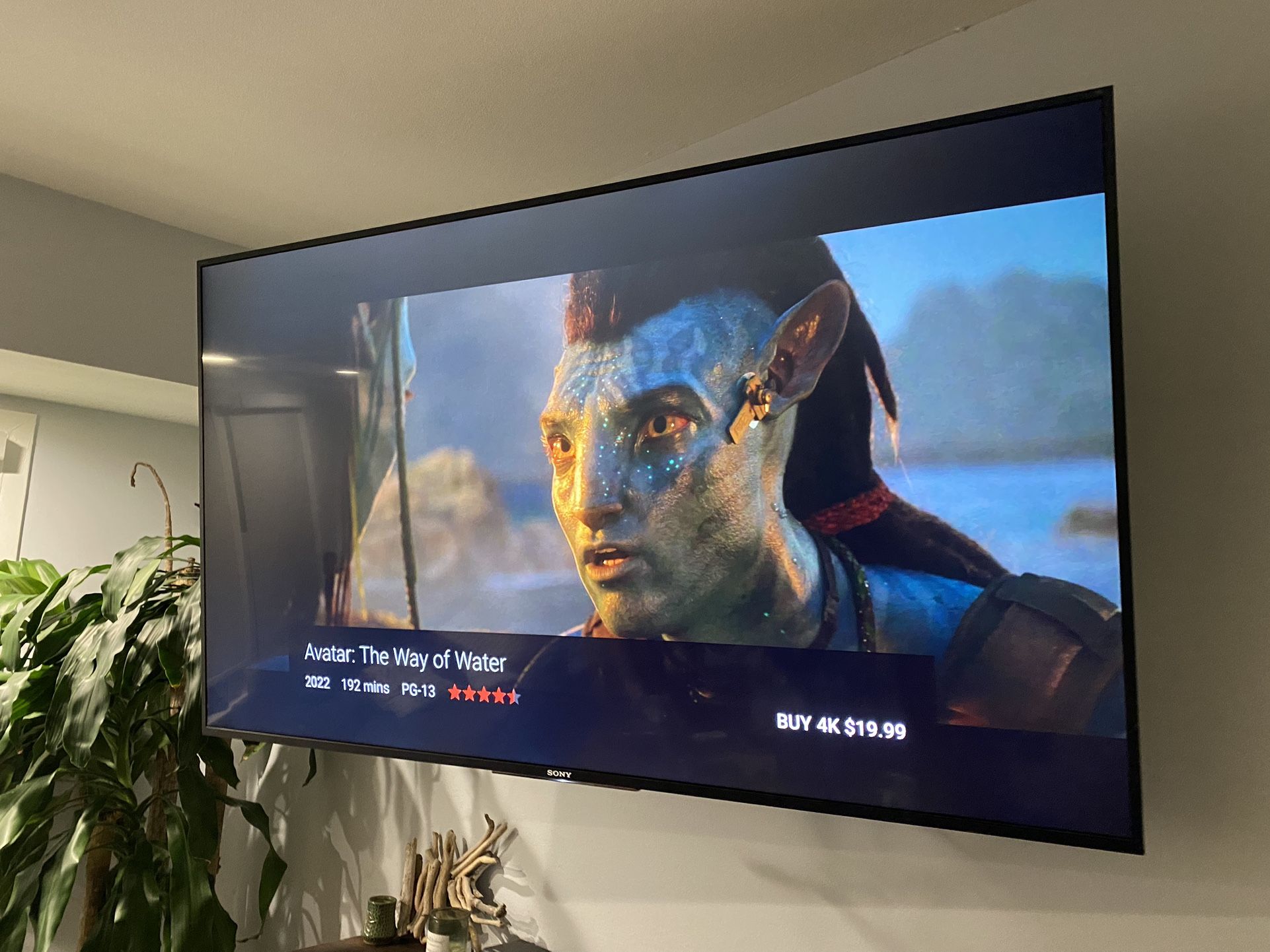 Sony XBR-65X850D 65" Smart LED 4K Ultra HD TV with HDR