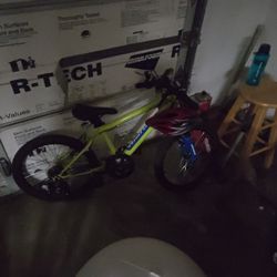 Free Kids Bike