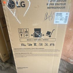 LG 20.63 in. W. 6 cu. ft. Single Door Top Freezer Refrigerator with Inverter Compressor & Pocket Handle in Platinum Silver