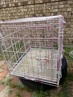 Cage