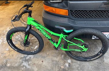 Giant mountain bike