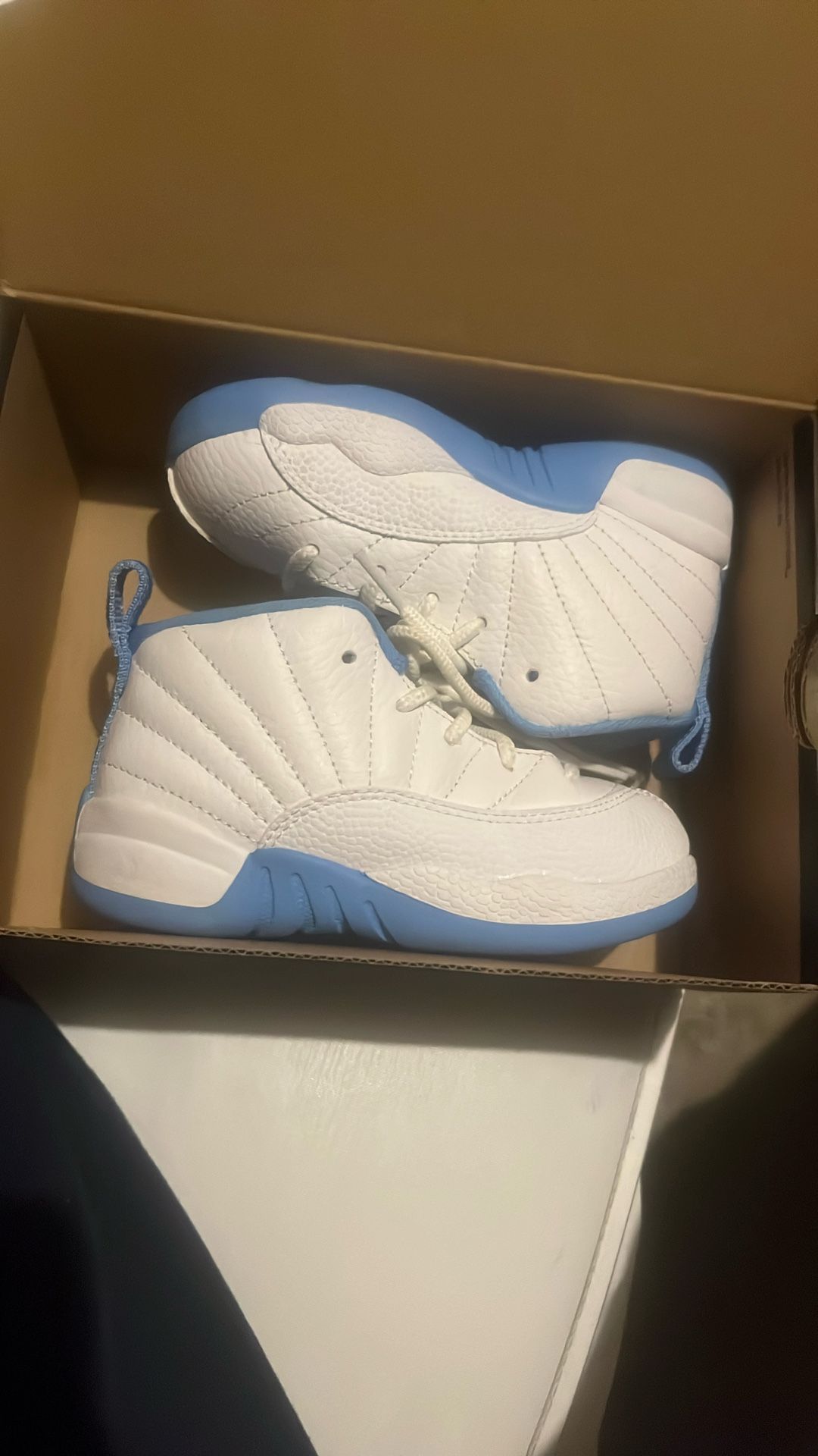 Jordan 12 Retro