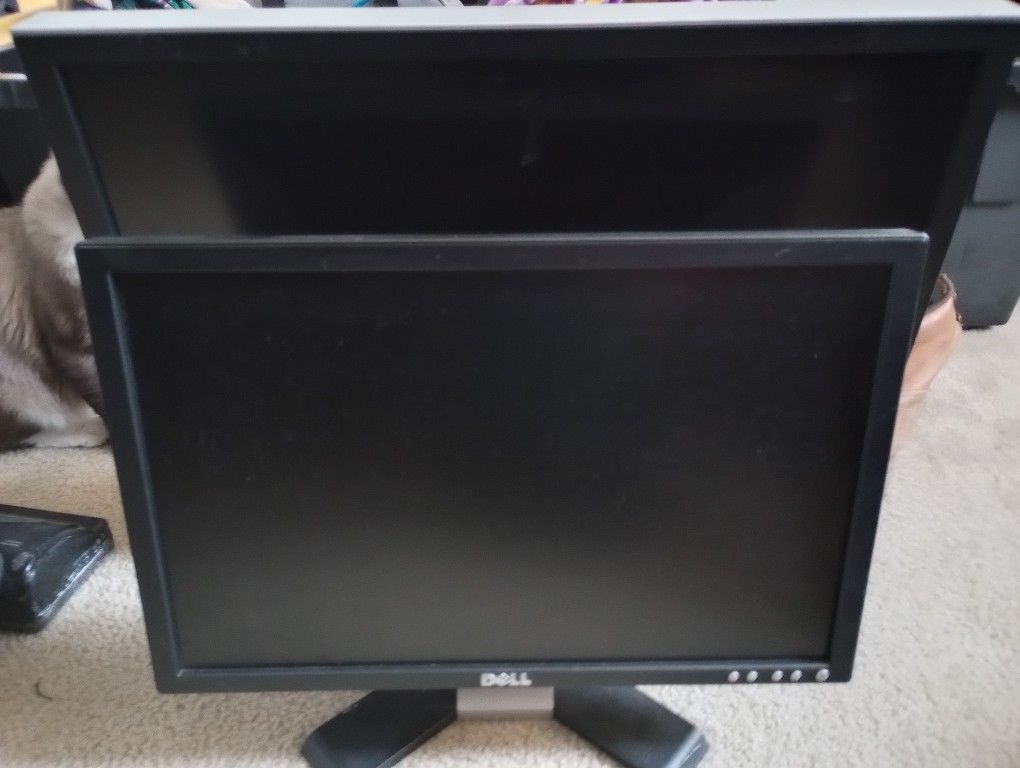 Dell Computer Monitor 16 And 1/2 In Works Perfect Check It Out