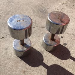 Ivanko Chrome Best Dumbbells 45 Lbs