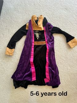 Disney Princess Costume