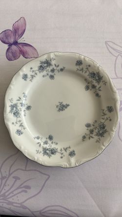 Johann Haviland China