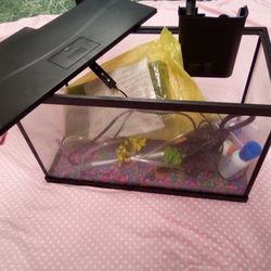 10 Gallon Fish Tank +Extras 30.00