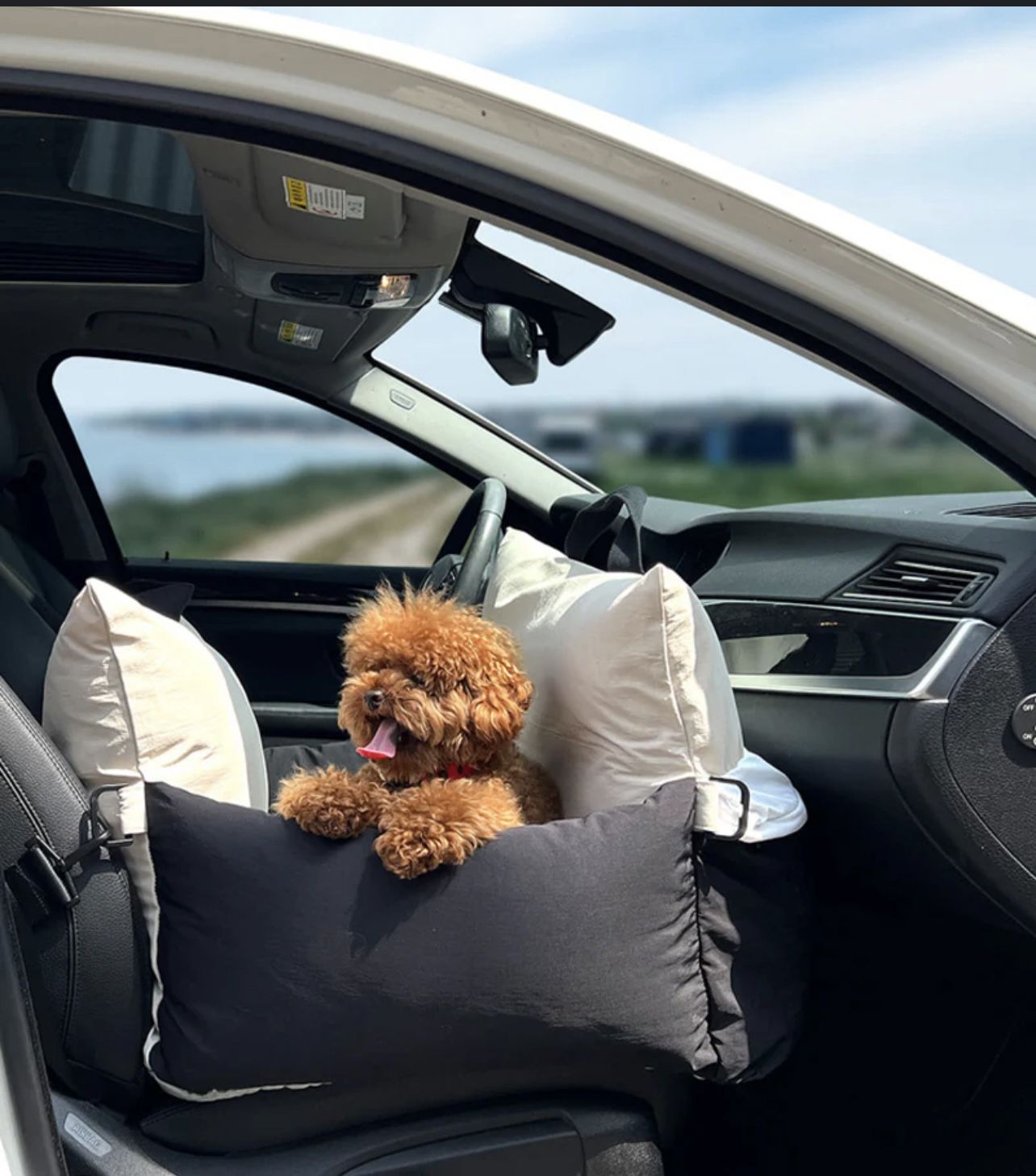 Dog Car Seat S-M.