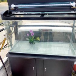 Large Fish Tank 