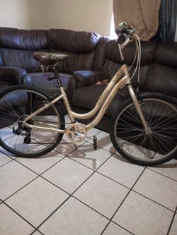26” Bike