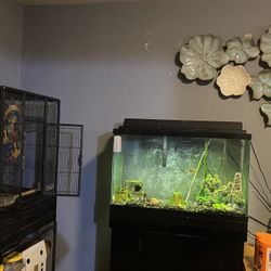 Fish Tank