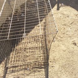 Dog Cages 