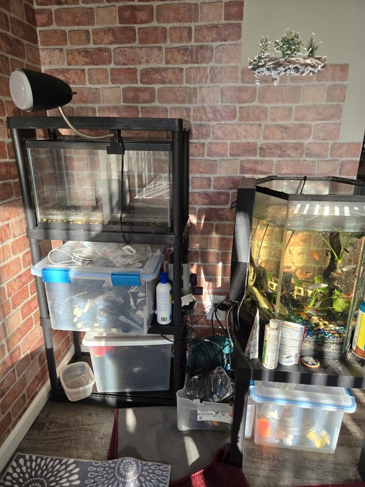 Aquarium And All Equipment