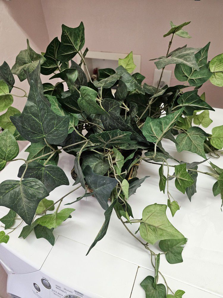 Faux English Ivy Plant