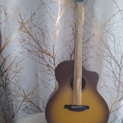 DONNER Acoustic Guitar 