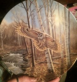 Collector Owl Theme Plates Set Of 6