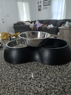 Small Dog Bowl