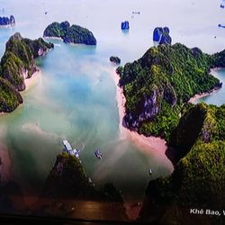 Mercury Outboard Motor