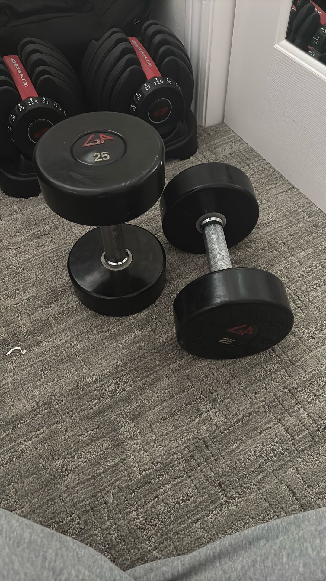 25Lb Dumbells (PAIR)