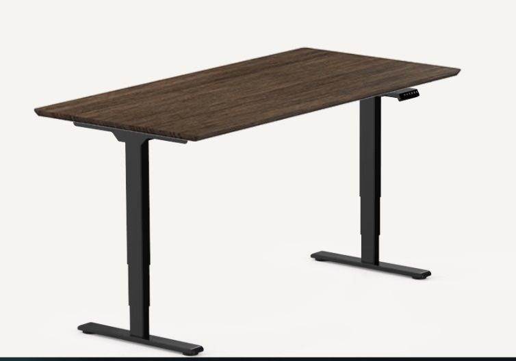 Flexispot E5 Standing Desk 63”X31”, Dark Bamboo