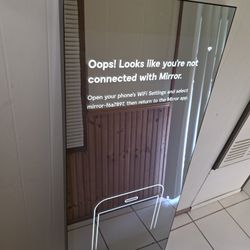 The Mirror Home Gym. 