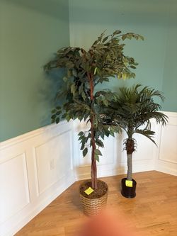 faux ficus and palm tree $ 15.00 for both