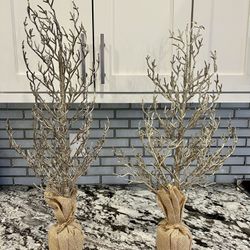 Pottery Barn Glitter Christmas Trees