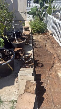 Cement blocks - Free. Must pick up