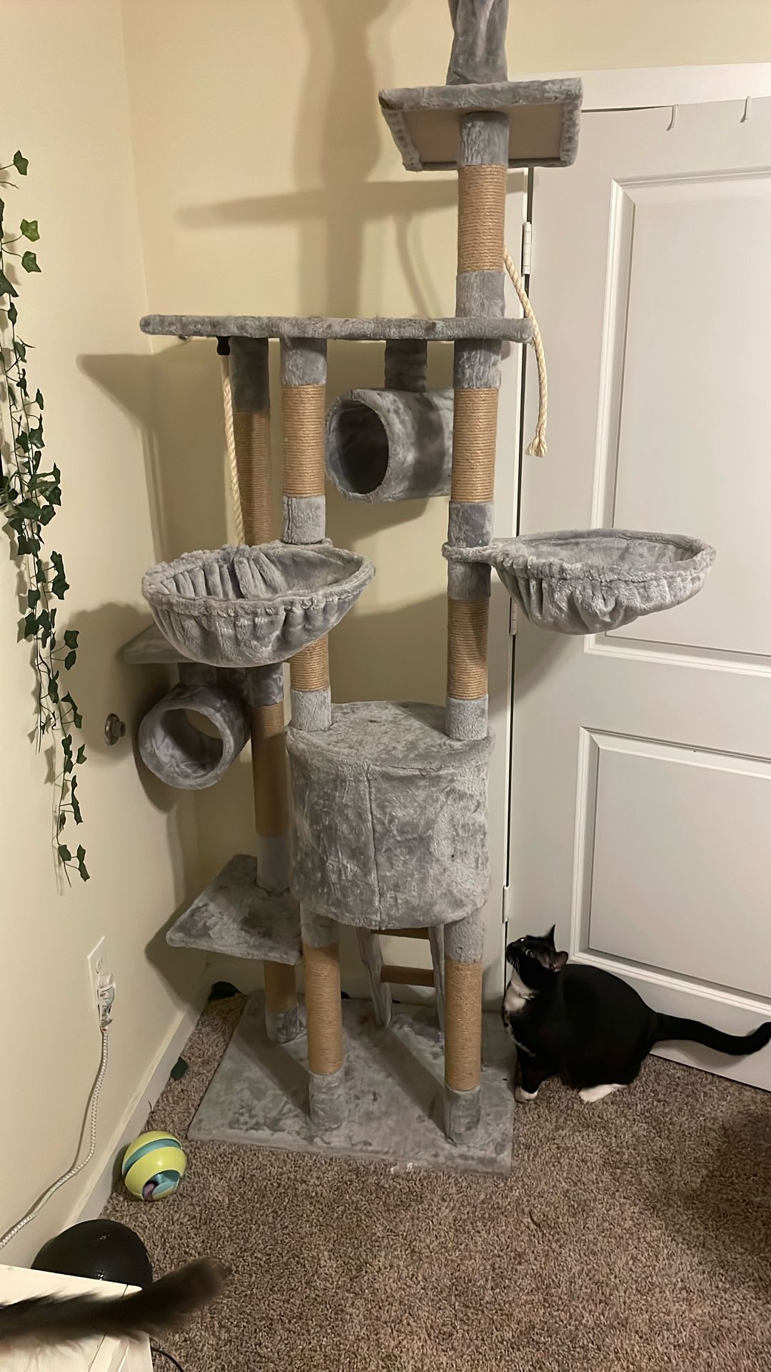 7ft Cat Tree