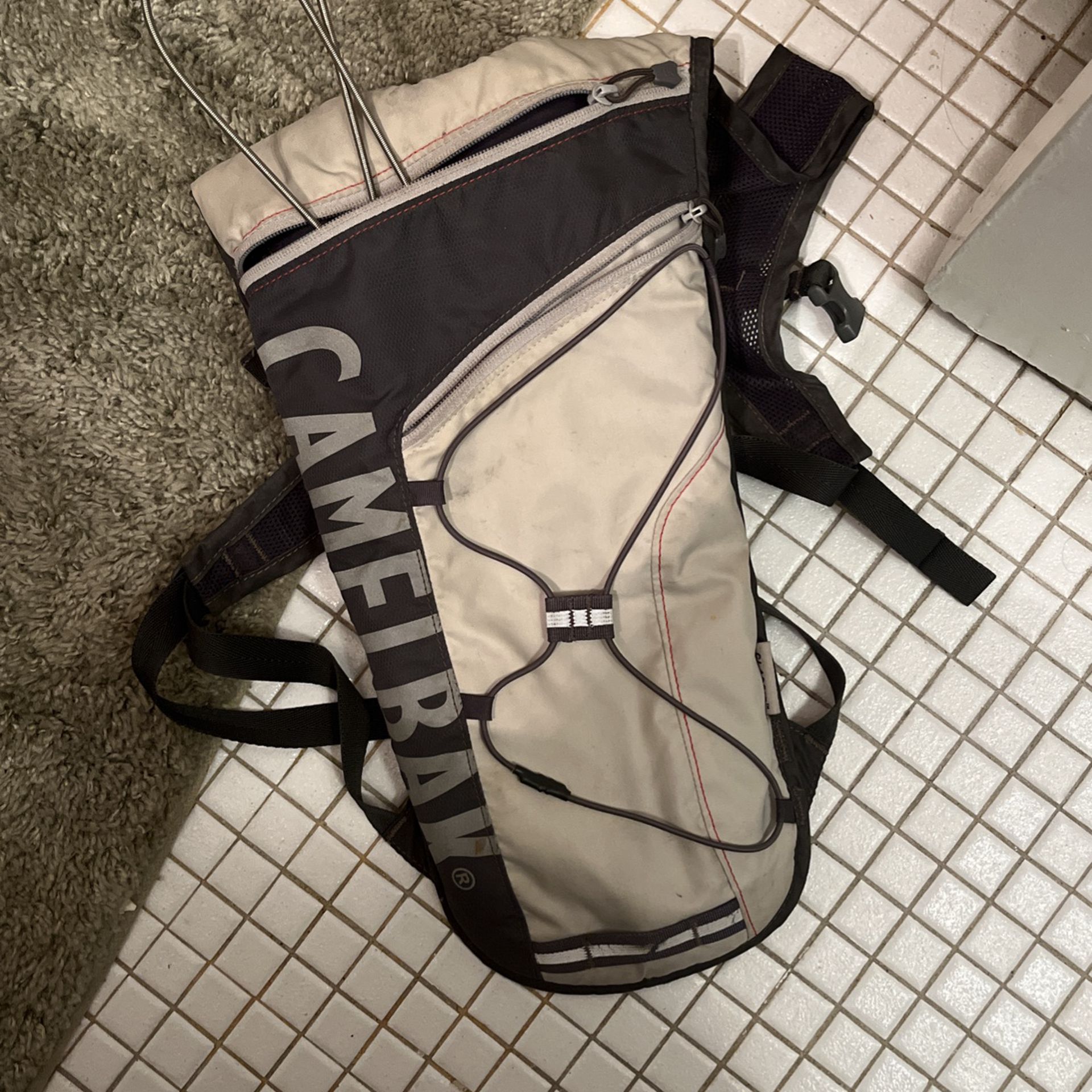 Camelback Waterpack