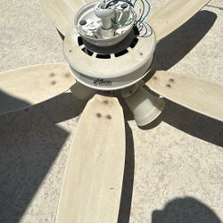 Ceiling fan