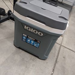 Igloo Cooler