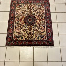 Persian Entry Carpet