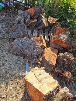Stumps - $40 for all or $10 each
