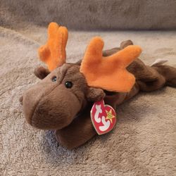 "Chocolate" Beanie Baby