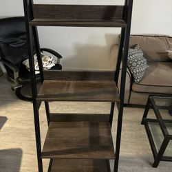 Ladder Bookshelves