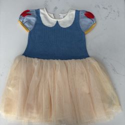 Baby GAP Toddler Disney Snow White Knitted Dress (worn)