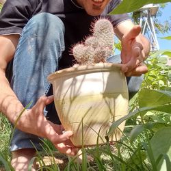Older Large Pincushion Plant 🌵 Cactus 🌵🌵