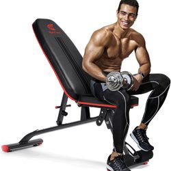 Adjustable Excercise Bench 