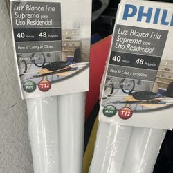 Phillips Light 