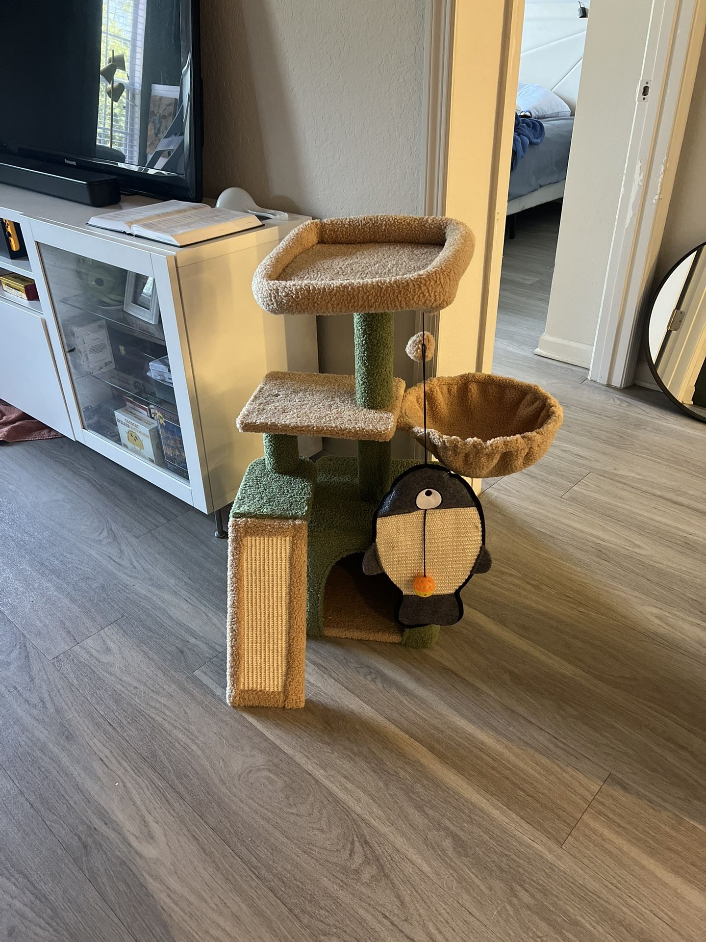 Cat Tree Cactus