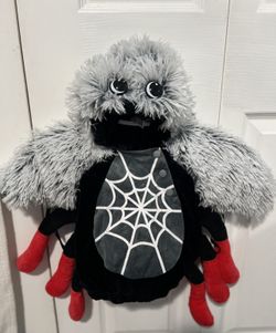 Spider Halloween Costume Sz 12/18 M 