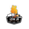 LDW JR Logistics