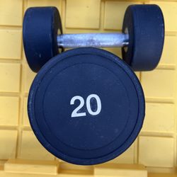 20 Lb Dumbbell Set
