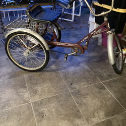 Nice Used EX-ROLL Regal Tricycle $150 Obo