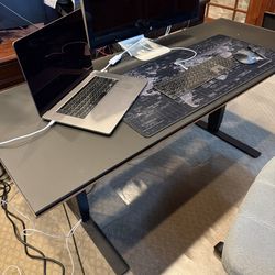 BDI Adjustable Standing Desk – Motorized Height, Memory Presets