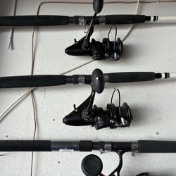 Two saltwater fishing poles