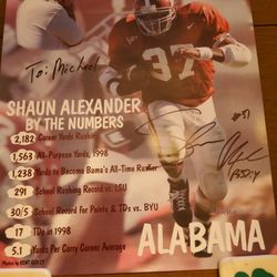 Shaun Alexander Poster